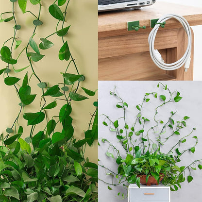100 Pcs Plant Climbing Wall Fixture Clips, Self-Adhesive Hook for Vines