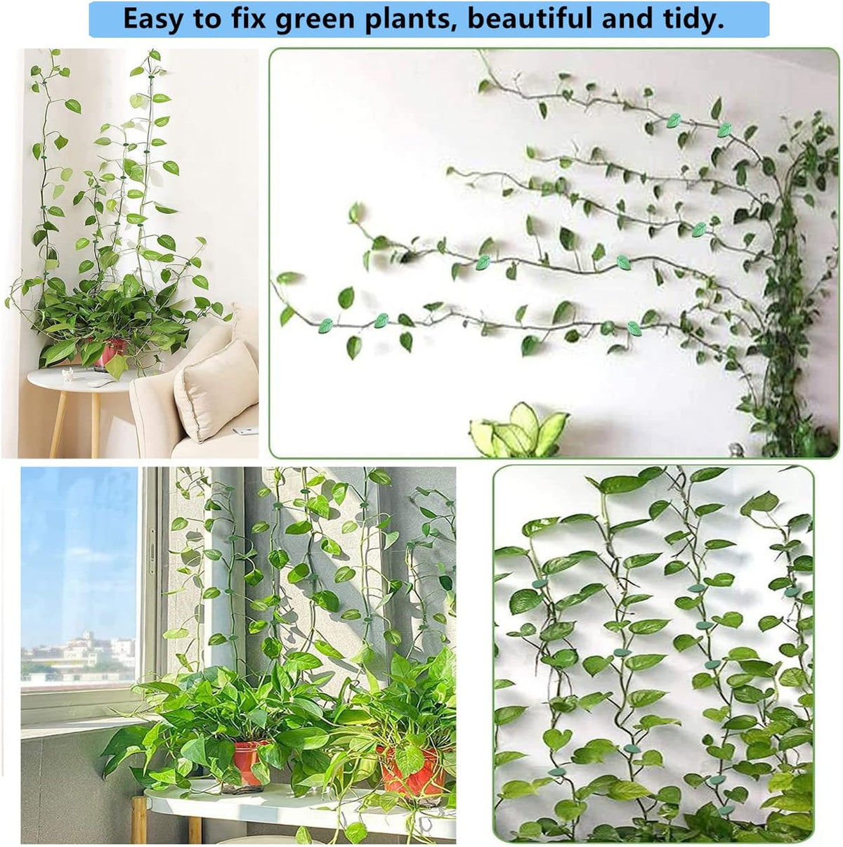 100 Pcs Plant Climbing Wall Fixture Clips Acrylic Self-Adhesive Sticker Plant Fixer Vine Traction Invisible Holder Climbing Plant Green Leaf Vines Hook Fixing Clip Indoor Outdoor Decoration