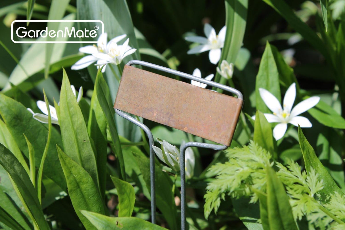 GardenMate 25-Pack Weatherproof Banner Copper Metal Plant Labels, Height 10.5", Label Area 2.5'' x 7/8''