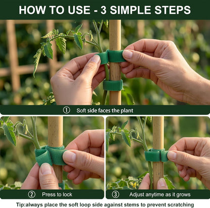 Plant Tape – Reusable Hook and Loop Plant Ties for Climbing Plants, Adjustable Garden Tape for Tomatoes, Vines & Indoor Plants | Nylon, 0.47 in Wide | 2 Rolls, 98ft