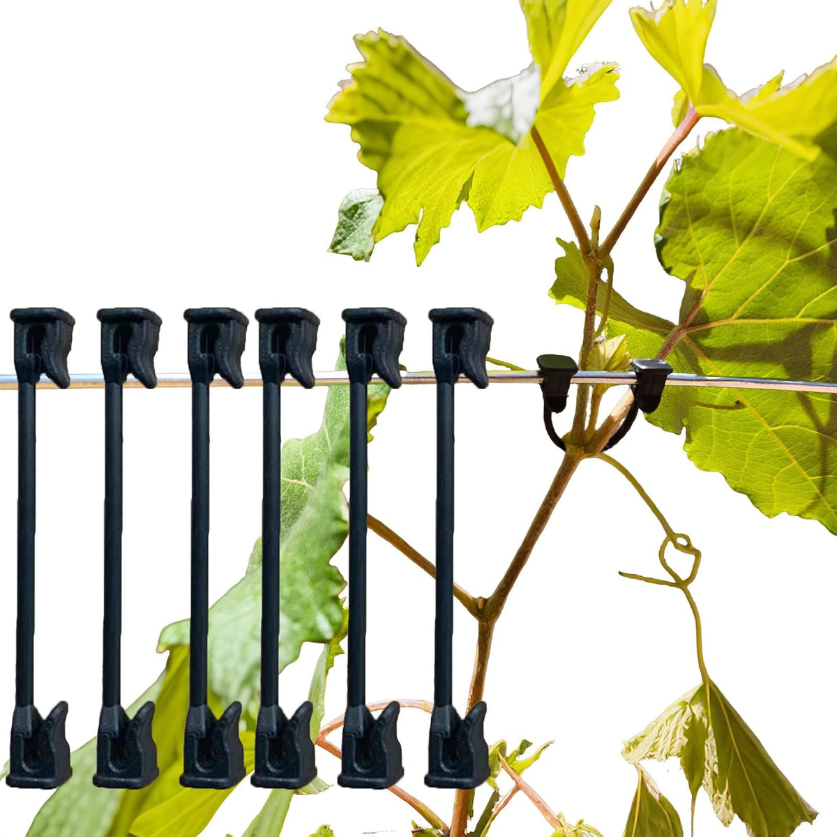 Plastic Vine Clip Garden Plant Support Clip Plant Tomato Grape Raspberry Kiwi Vine Clip Suitable for 9#-12# lines