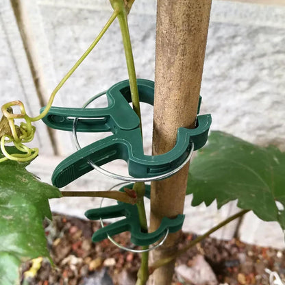 HOZEON 160 PCS Garden Plant Gripper Clips, Green Plant Support Clips for Gardening, Plastic Tomato Plant Lever Loop Clips, Tomato Vine Clips for Climbing Plants Stems, Stalks, 2 Sizes