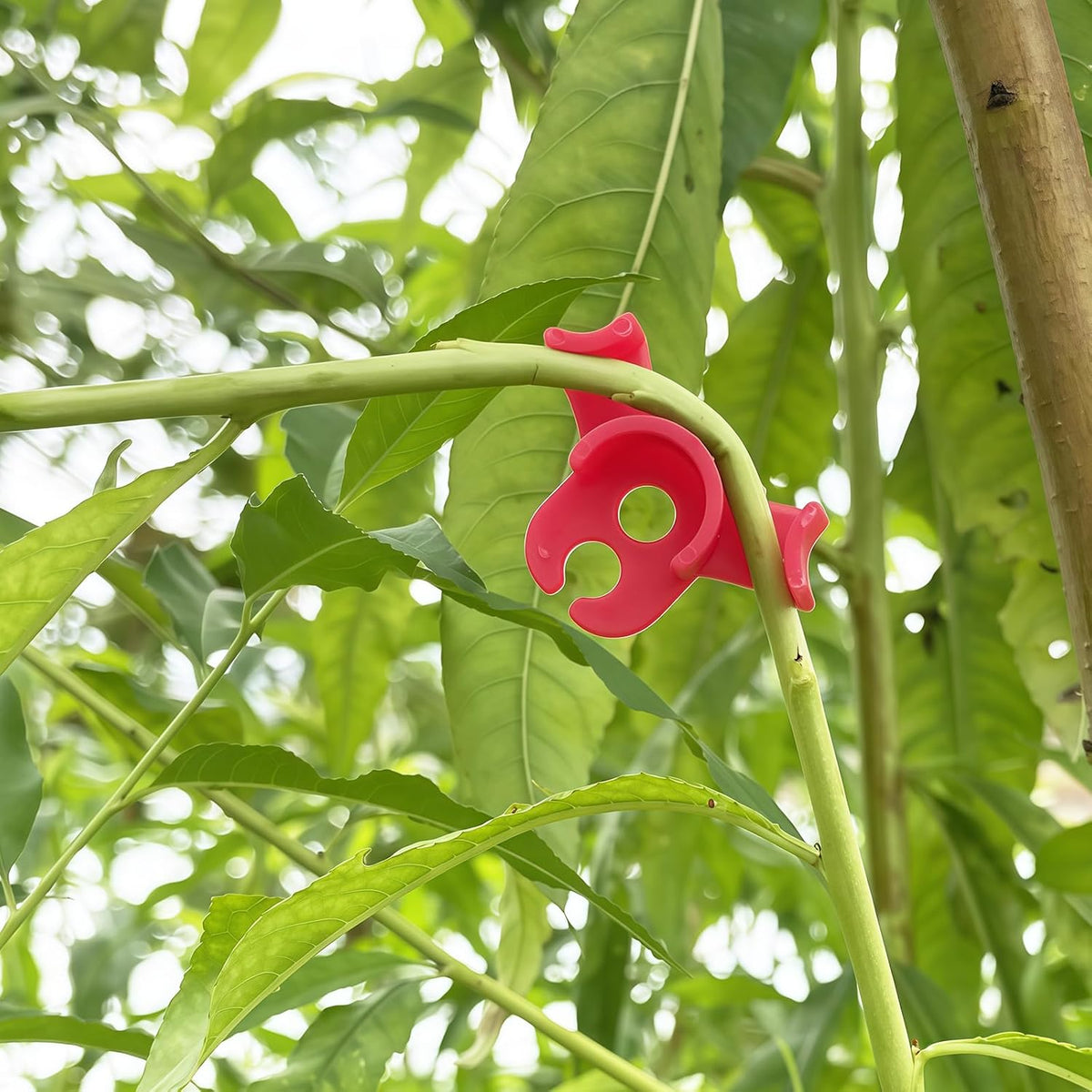 120-Pack Plant Training Clips for Low Stress Training - 90-Degree Angle Plastic Plant Stem Support Clips, Reusable Garden Clips for Tomatoes, Vines (Red & Green)