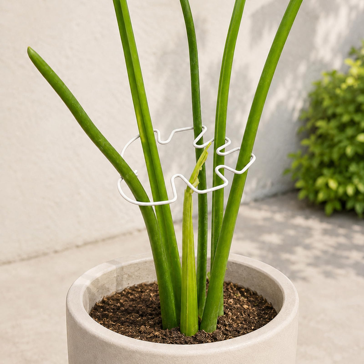 Yohsnor 5PCS Monstera Plant Support Hook - 4.1 * 4.4IN Stem Holder