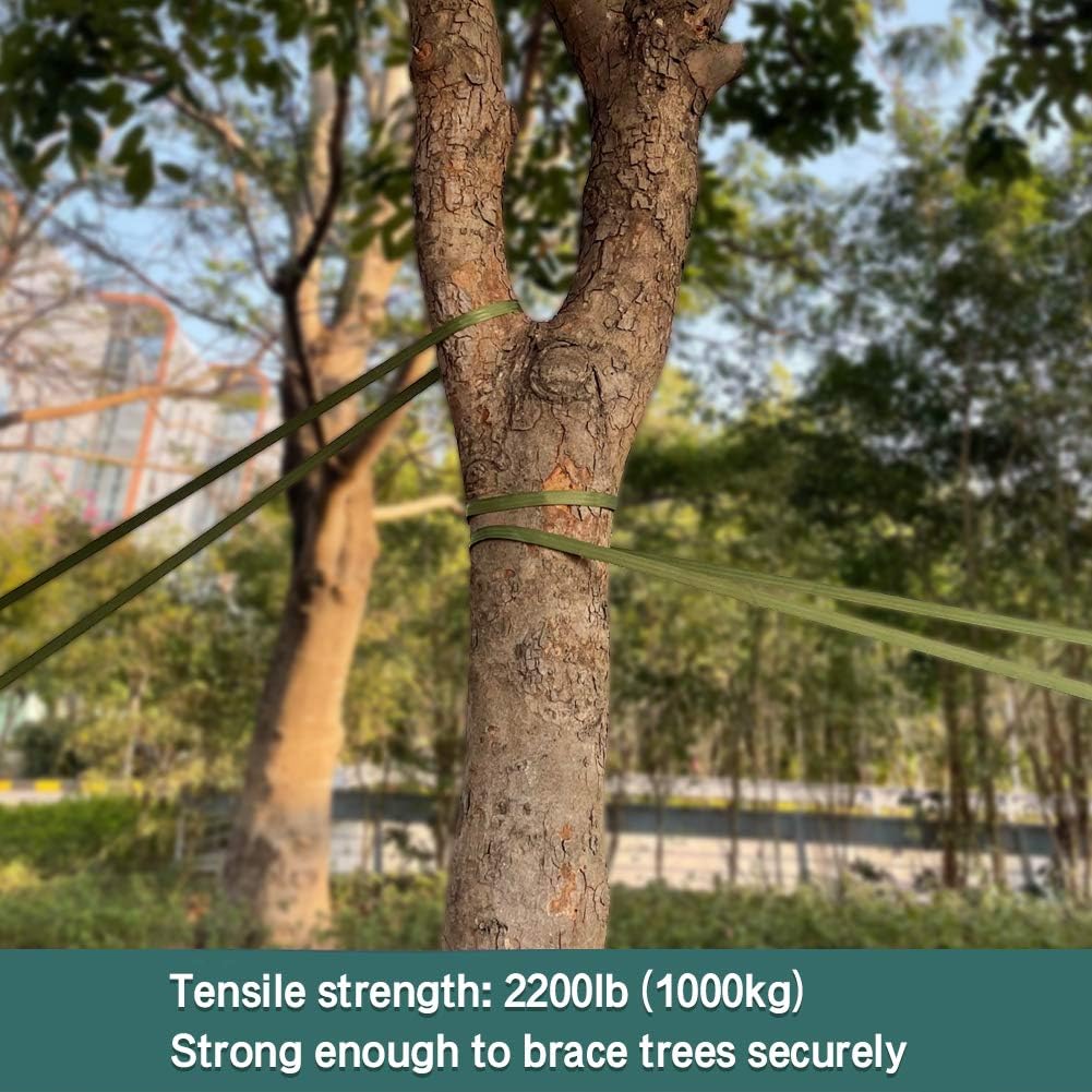 Tenn Well 65 Feet x 1 inch Green Nylon Tree Strap for Staking Support