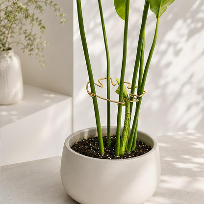 Yohsnor 5PCS Monstera Plant Support Hook - 4.1 * 4.4IN Stem Holder