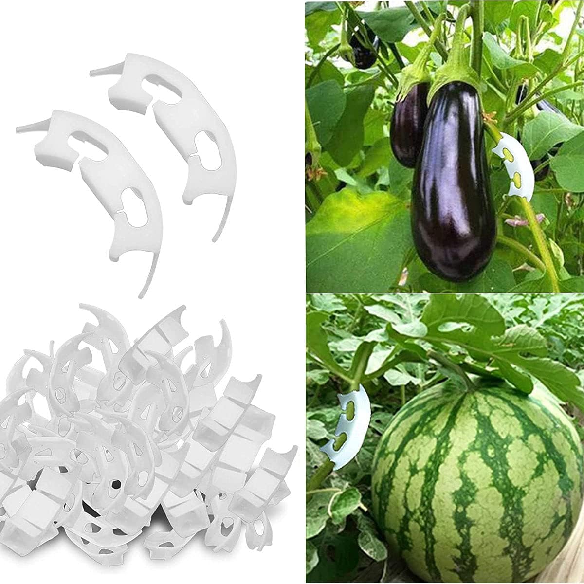 Spencer 200 Pcs Plant Support Clips - 100 Pcs Tomato Vine Clips (1.18” Inner Diameter) and 100 Pcs Plant Bender (1.57” in Length) for Garden Plants Fruits Vegetables