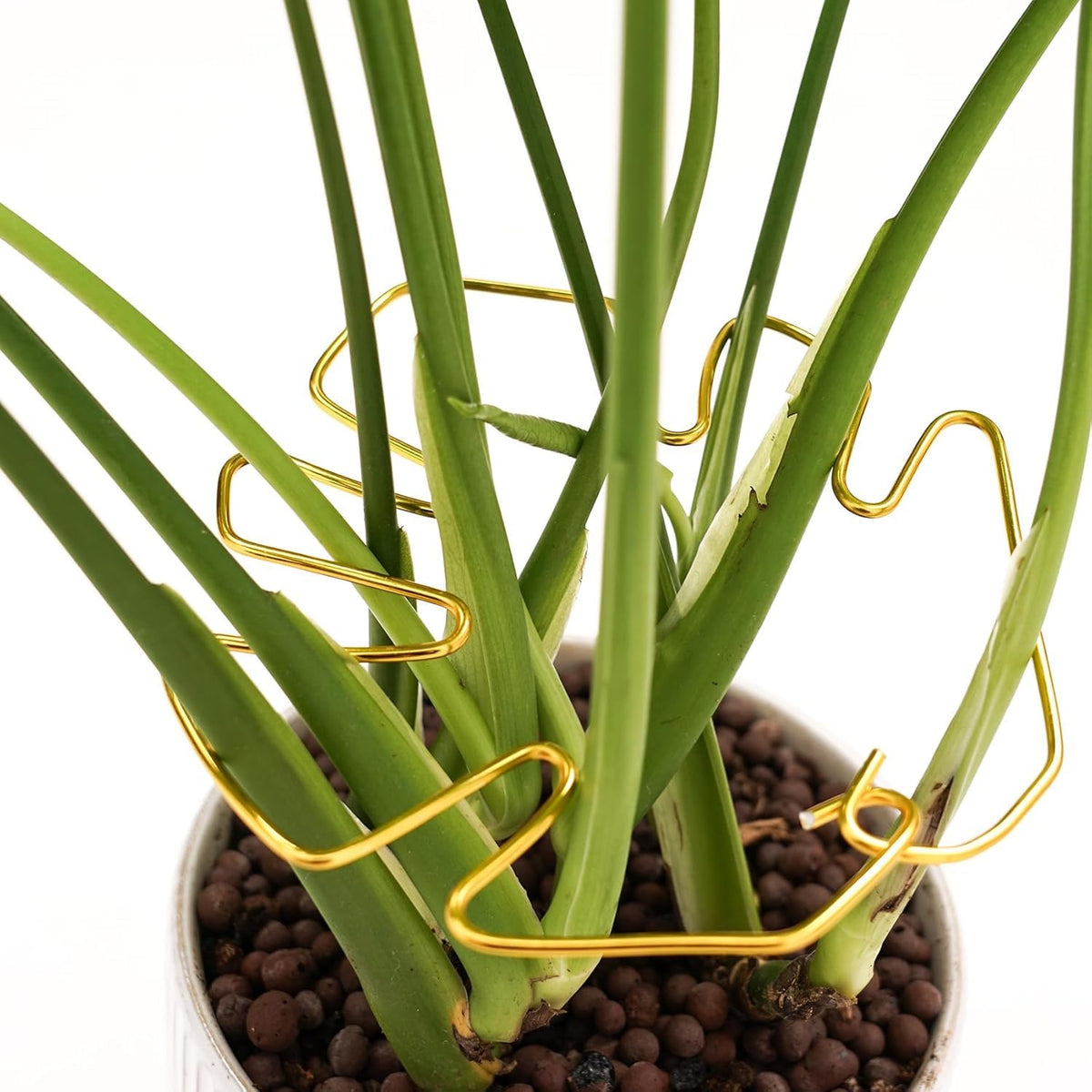 5 Pcs Plant Stem Support, Iron Monstera Plant Support, Durable Hook Stem Supports for Healthy Growth, Bamboo Clamp Set for Leaf Stabilization and Support, Ideal Present for Plant Lovers (5.5IN*5.5IN)