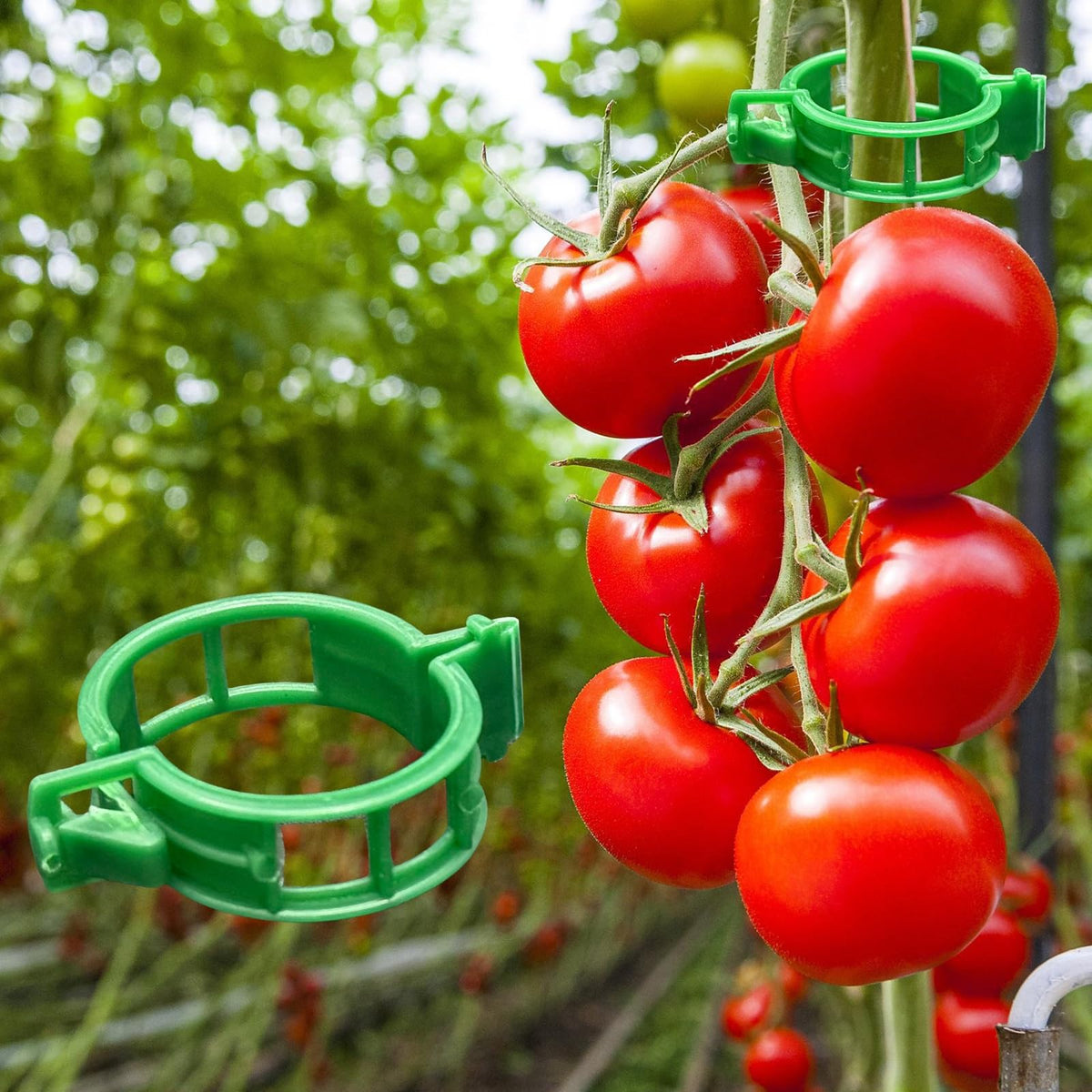 Dalzom® 300Pcs Tomato Clips, Plastic Trellis Clips Plant Support Clips, Plant Clips for Support, Grape Vine, Tomato Vine, Vegetables Plants, Garden Clips to Grow Upright Makes Plants Healthier