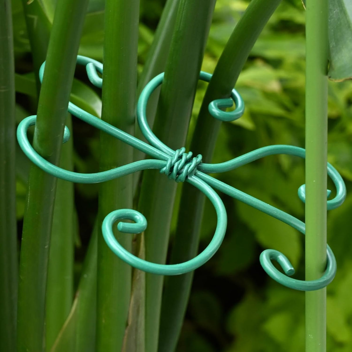 Yohsnor 5PCS Monstera Plant Support Hook - 4.1 * 4.4IN Stem Holder
