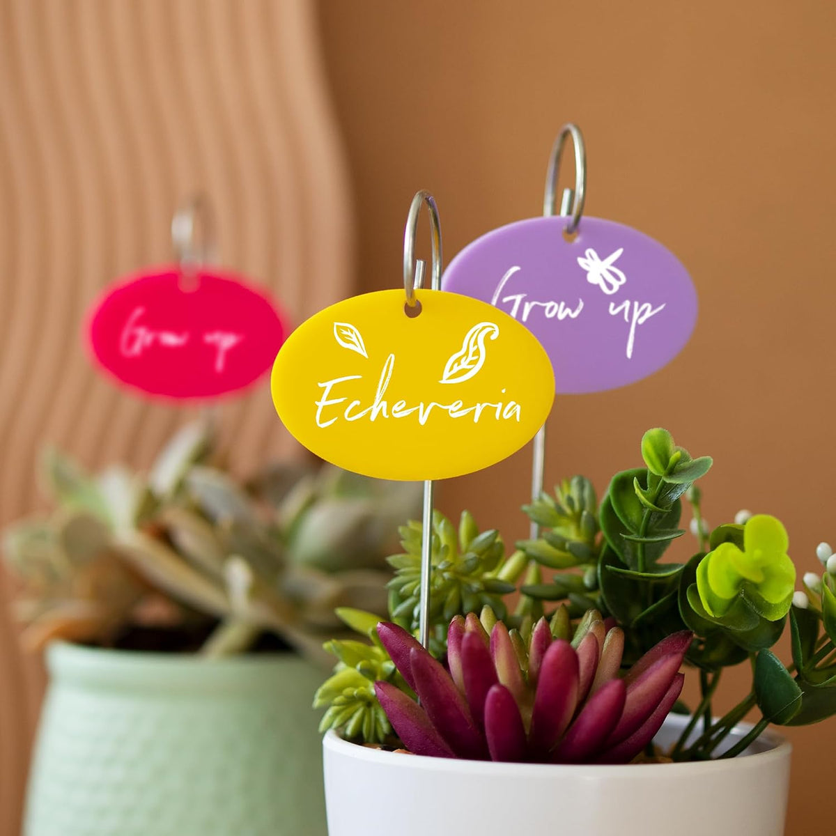 Temlum Acrylic Plant Labels for Indoor & Outdoor Plants, Multicolor 25pcs