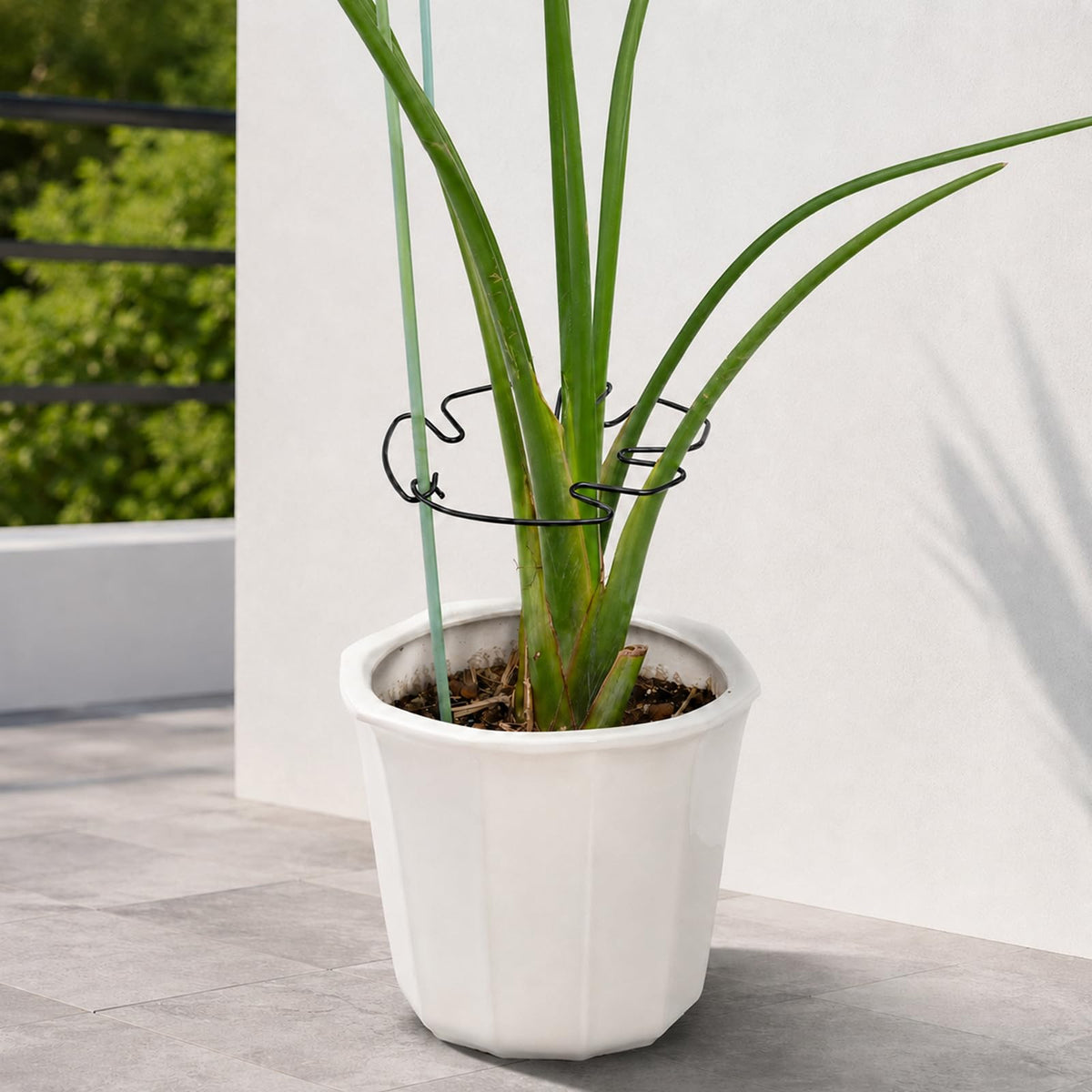 Yohsnor 5PCS Monstera Plant Support Hook - 4.1 * 4.4IN Stem Holder
