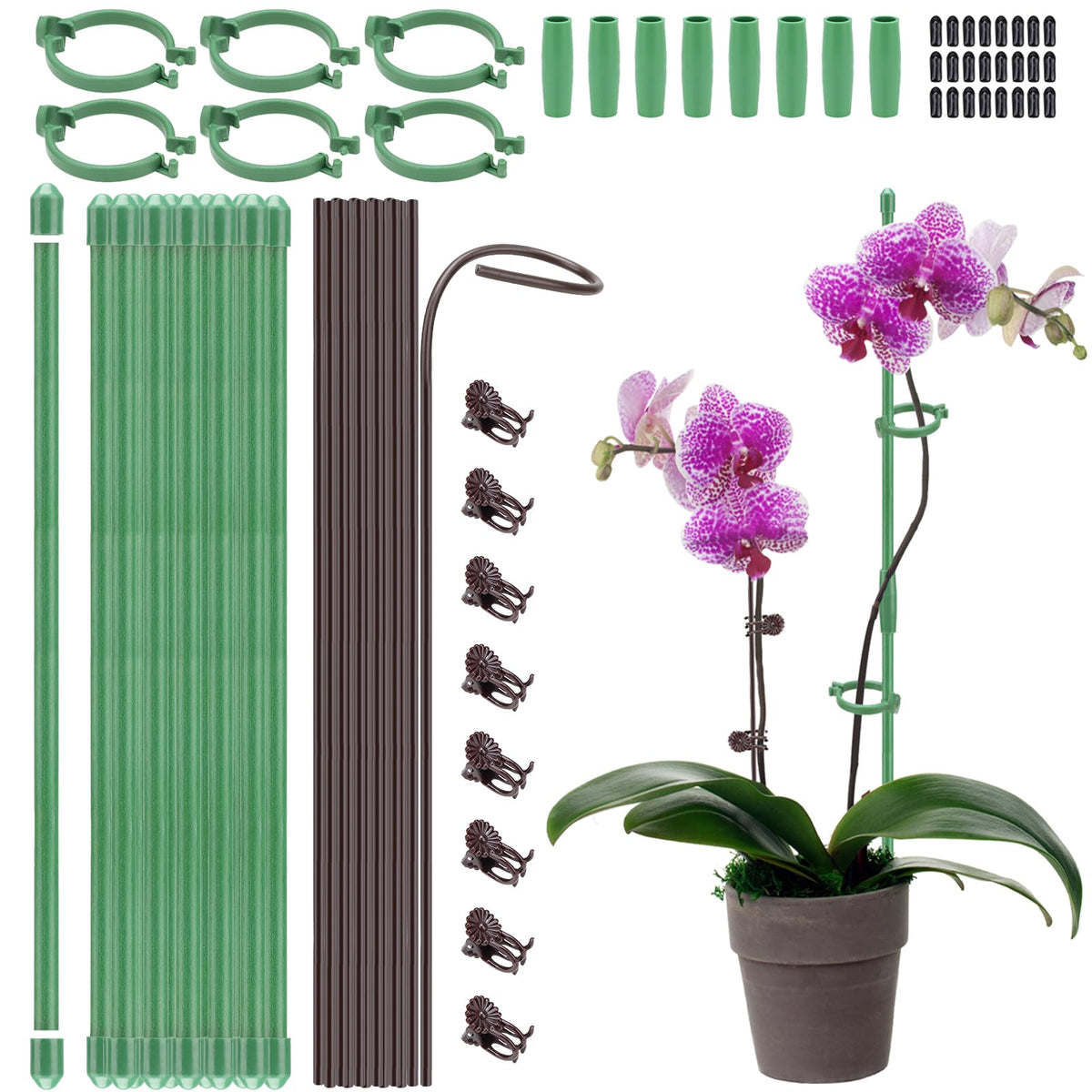 24 Pcs Adjustable Plant Support Stakes Kit for Indoor Plants, 12 Inch Orchid Sticks and Clips Set Bendable Single Stem Support Sticks, Small Plant Stakes for Garden Potted Plants Orchid Rose Peony