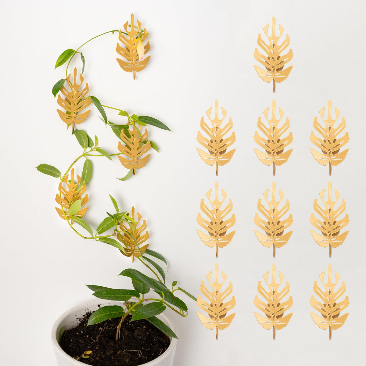 15 Pack Money Plant Hooks for Wall - Indoor Pothos Plant Support