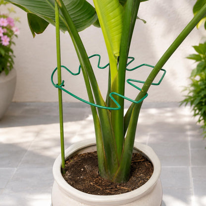 Yohsnor 5PCS Monstera Plant Support Hook - 4.1 * 4.4IN Stem Holder