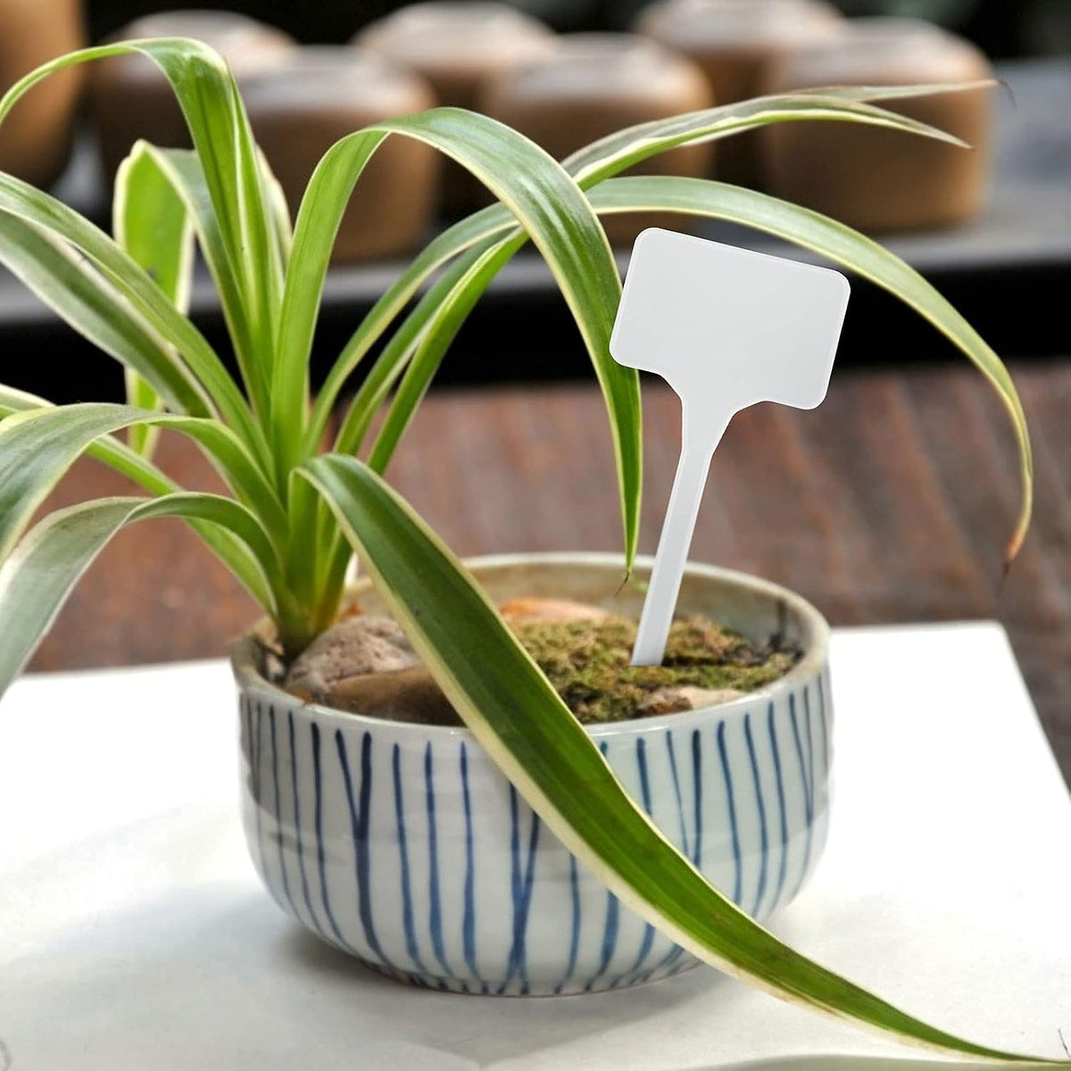 KINGLAKE GARDEN Large Plastic Plant Labels 6 Inch 50 Pack White Extra Large