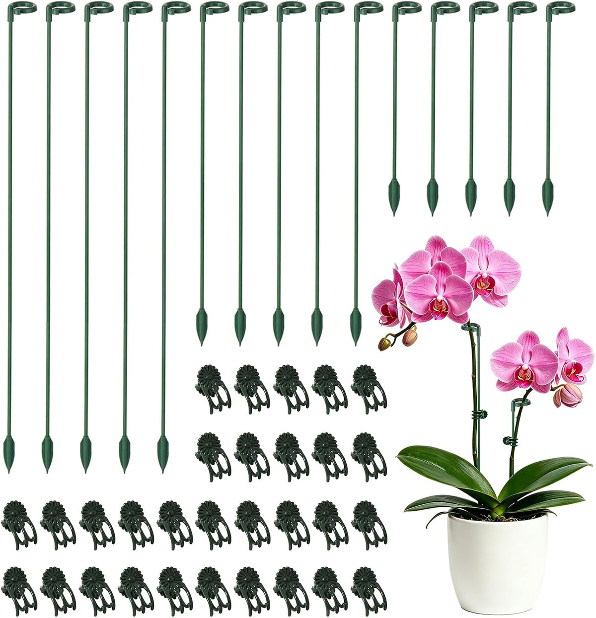 30 Sets Small Plant Stakes for Indoor Plants, 3 Size 6.7/10.6/14.6 Inches