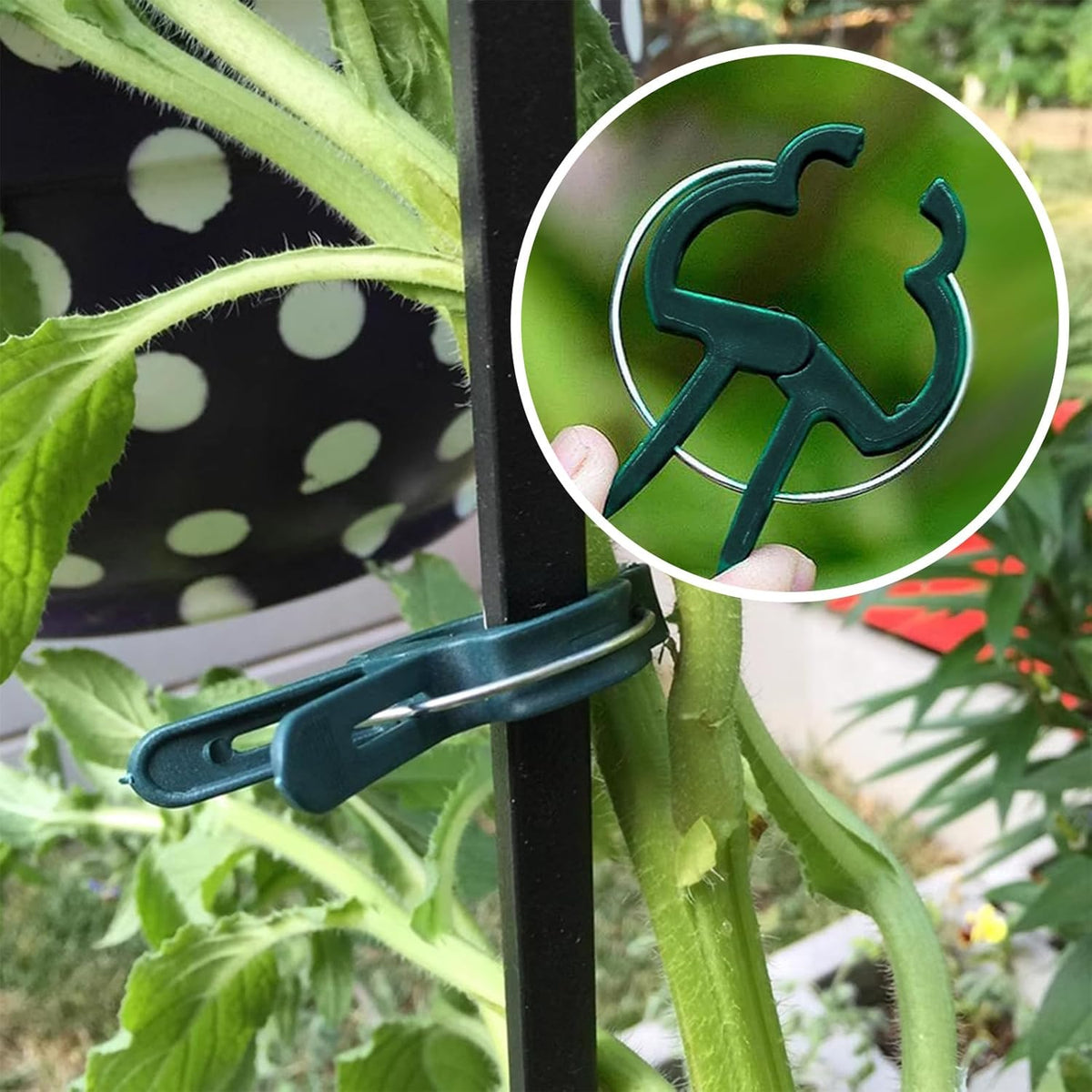 Plant Clips for Climbing Plants, Garden Support for Tomatoes & Vine