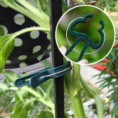 Plant Clips for Climbing Plants, Garden Support for Tomatoes & Vine