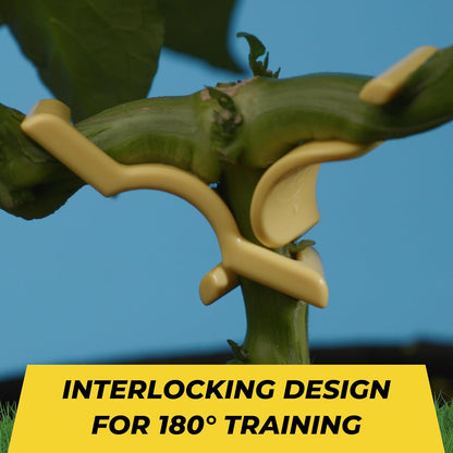 BudTrainer BudClips for Low Stress Plant Training, Yellow, 20-Pack