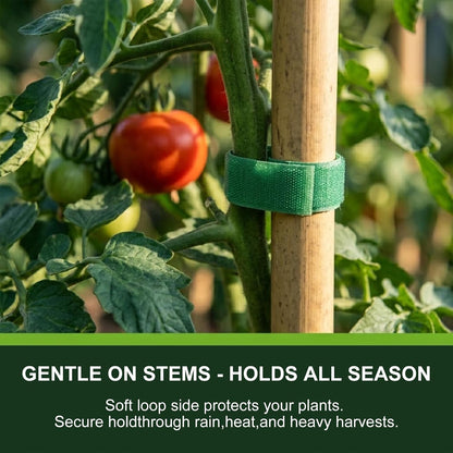 Plant Tape – Reusable Hook and Loop Plant Ties for Climbing Plants, Adjustable Garden Tape for Tomatoes, Vines & Indoor Plants | Nylon, 0.47 in Wide | 2 Rolls, 98ft