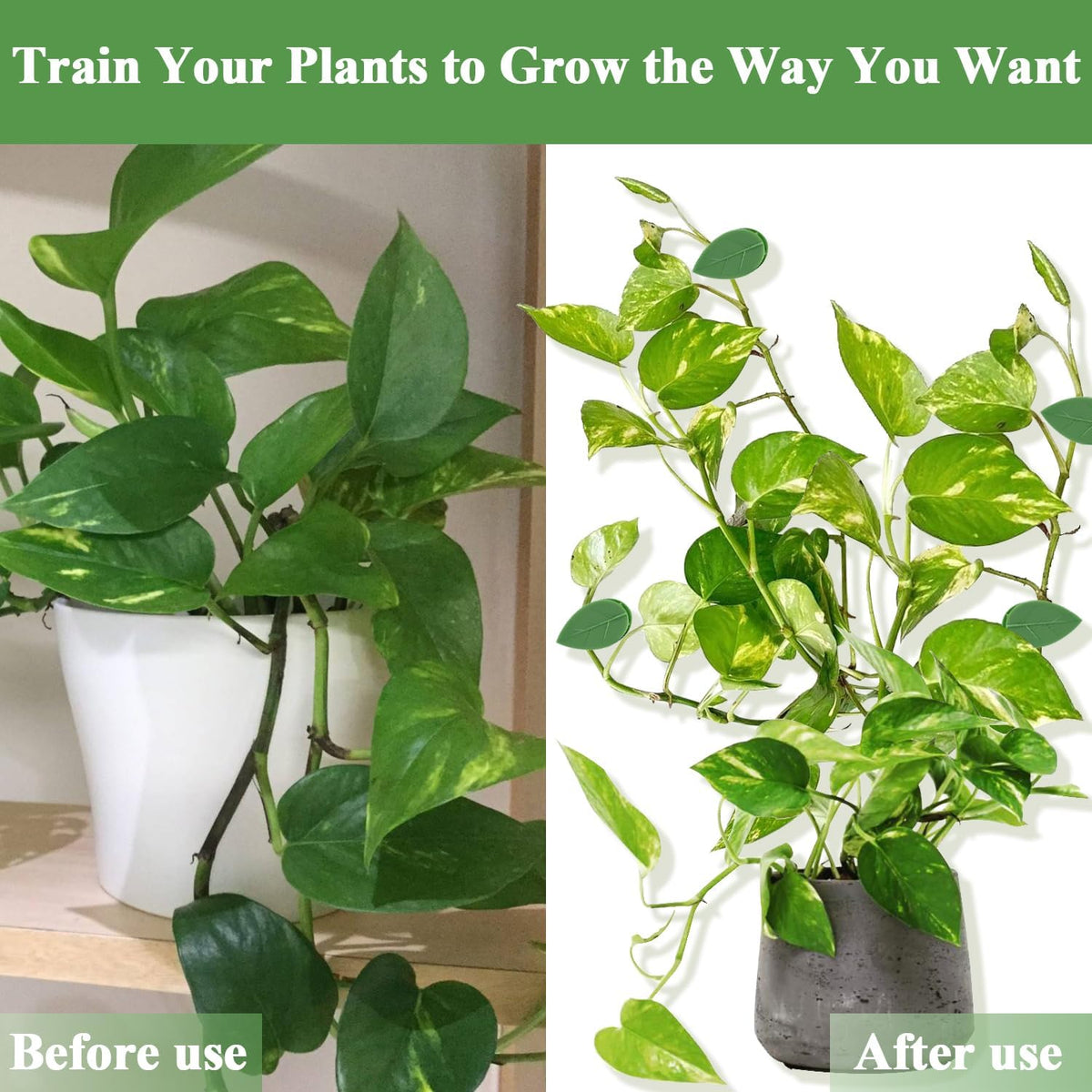 60 PCS Plant Wall Clips with Self Adhesive Stickers, Leaf Shaped Vine Clips