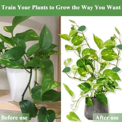 60 PCS Plant Wall Clips with Self Adhesive Stickers, Leaf Shaped Vine Clips