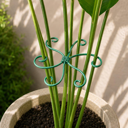 Yohsnor 5PCS Monstera Plant Support Hook - 4.1 * 4.4IN Stem Holder