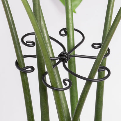 Yohsnor 5PCS Monstera Plant Support Hook - 4.1 * 4.4IN Stem Holder