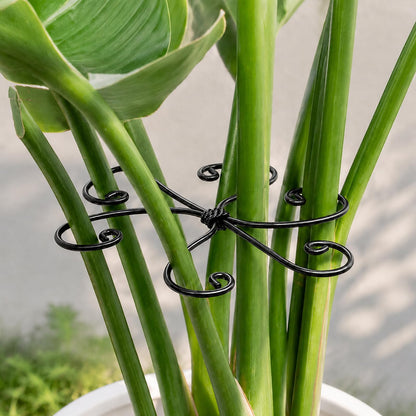 Yohsnor 5PCS Monstera Plant Support Hook - 4.1 * 4.4IN Stem Holder