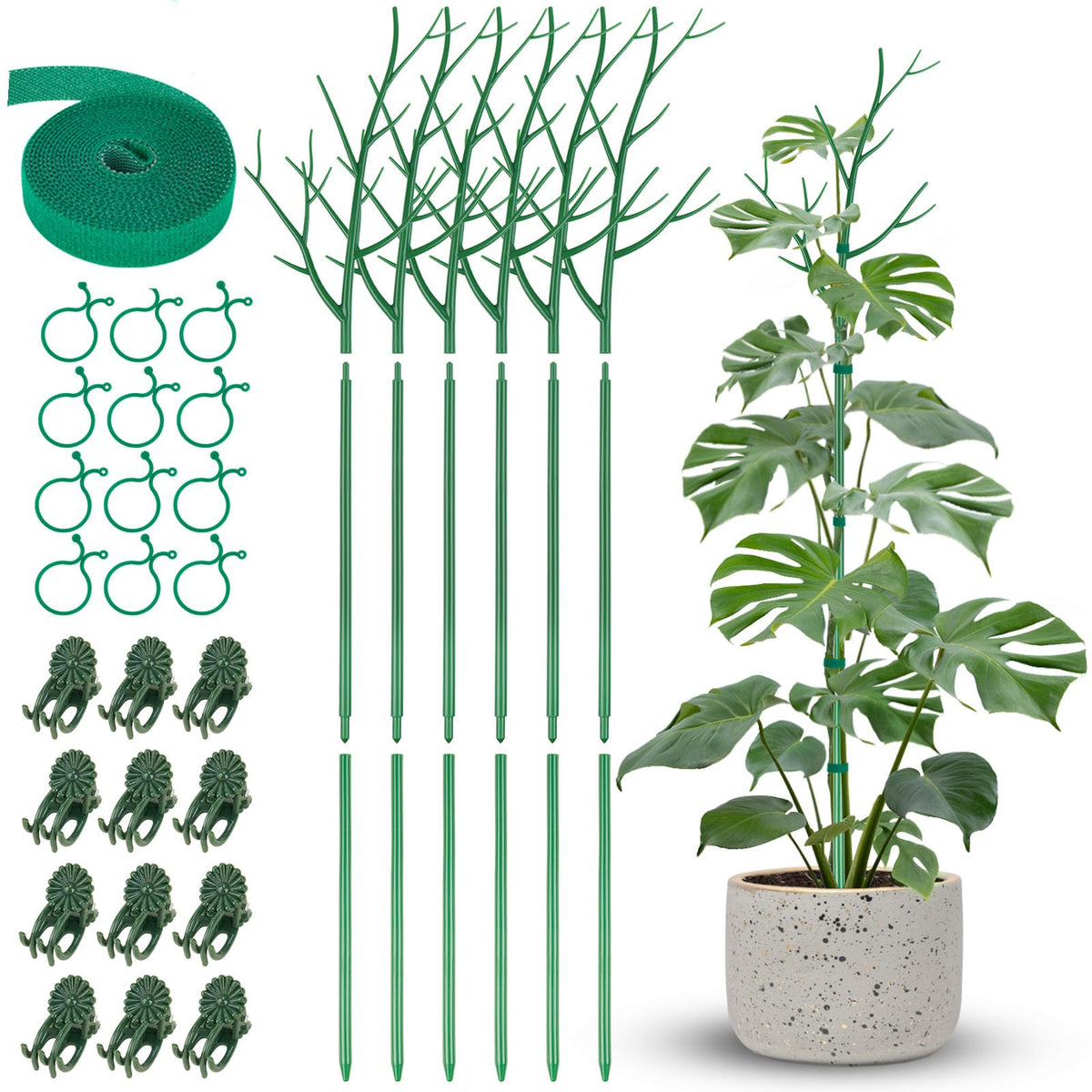 NiHome 50" Plant Support Stakes 5-Pack for Indoor & Outdoor Climbing Plants