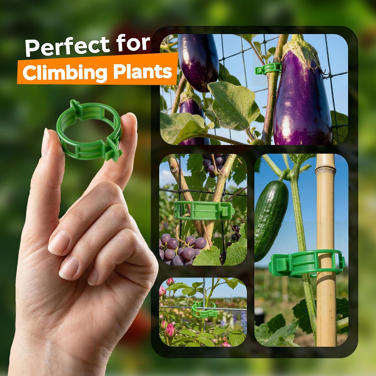 100Pcs Tomato Clips for Climbing Plants Trellis Plant Support Clips