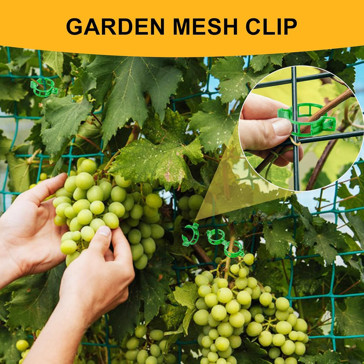 Secured Plant Support Clips - Heavy Duty Tomato Clips for String Trellis 200Pcs, Grape Vine Grid Clamp for Garden Netting Climbing Plants, Fixing Stem and Vine (Green)