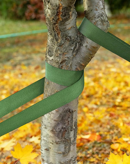Tree Straps & Accessories - Heavy Duty 1Inch Polyester Webbing, 1800LB | All-Weather Tree Swing Strap, Tether & Plant Ties | Protective Wraps to Protect Bark