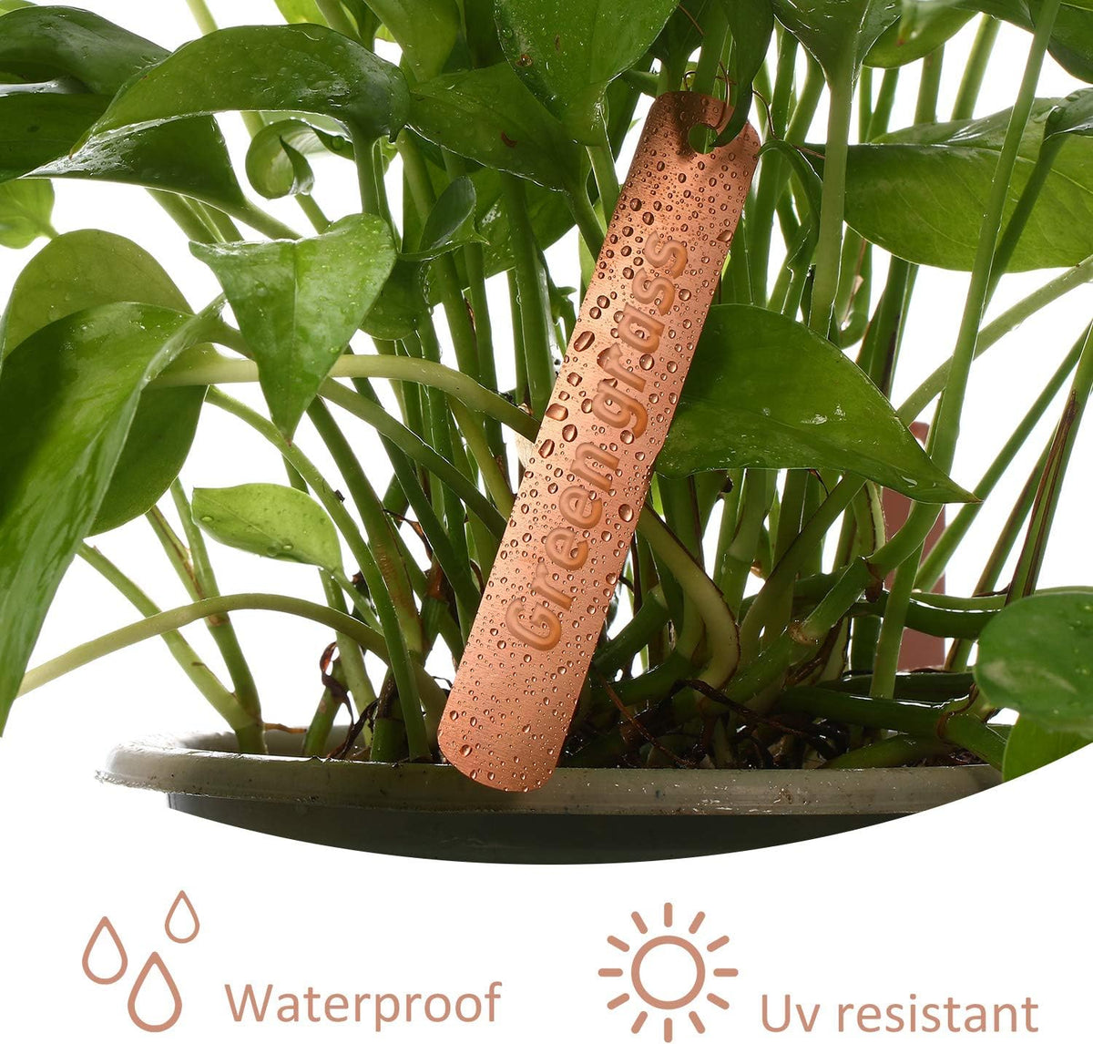 Hotop 30 Pcs 4.5 Inch Copper Plant Tags Metal Tree Tags