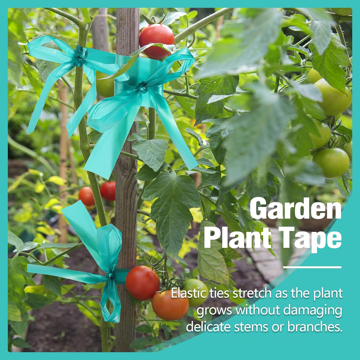 300FT Stretch Tie Tape Roll, 1'' Plant Tape Green Stretch Garden Tie