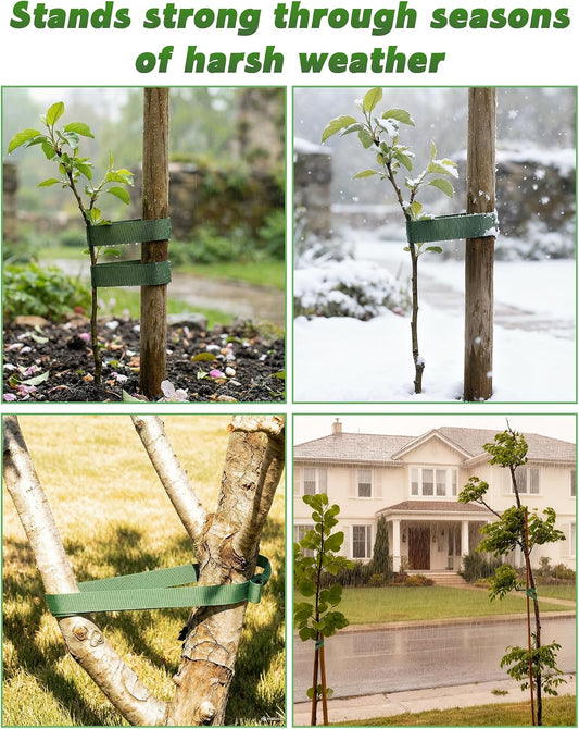 Tree Straps & Accessories - Heavy Duty 1Inch Polyester Webbing, 1800LB | All-Weather Tree Swing Strap, Tether & Plant Ties | Protective Wraps to Protect Bark