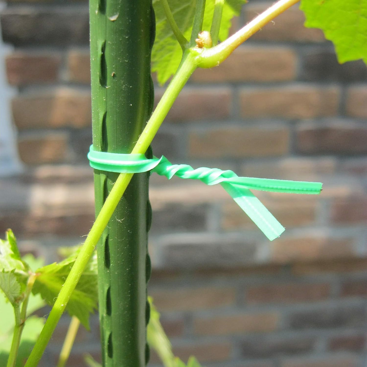 Gardzen 300 Pack 12" Twist Ties Reusable Coated Wire Plant Ties