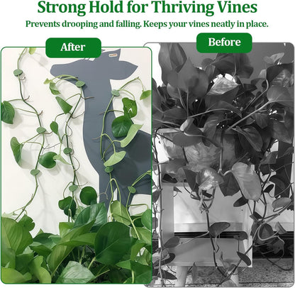 Plant Wall Clips for Climbing Vines Green Garden Stem Holder with Adhesive Climbing Wall Fixture Clips for Indoor Wall Decor, Office, Home (60 Packs)
