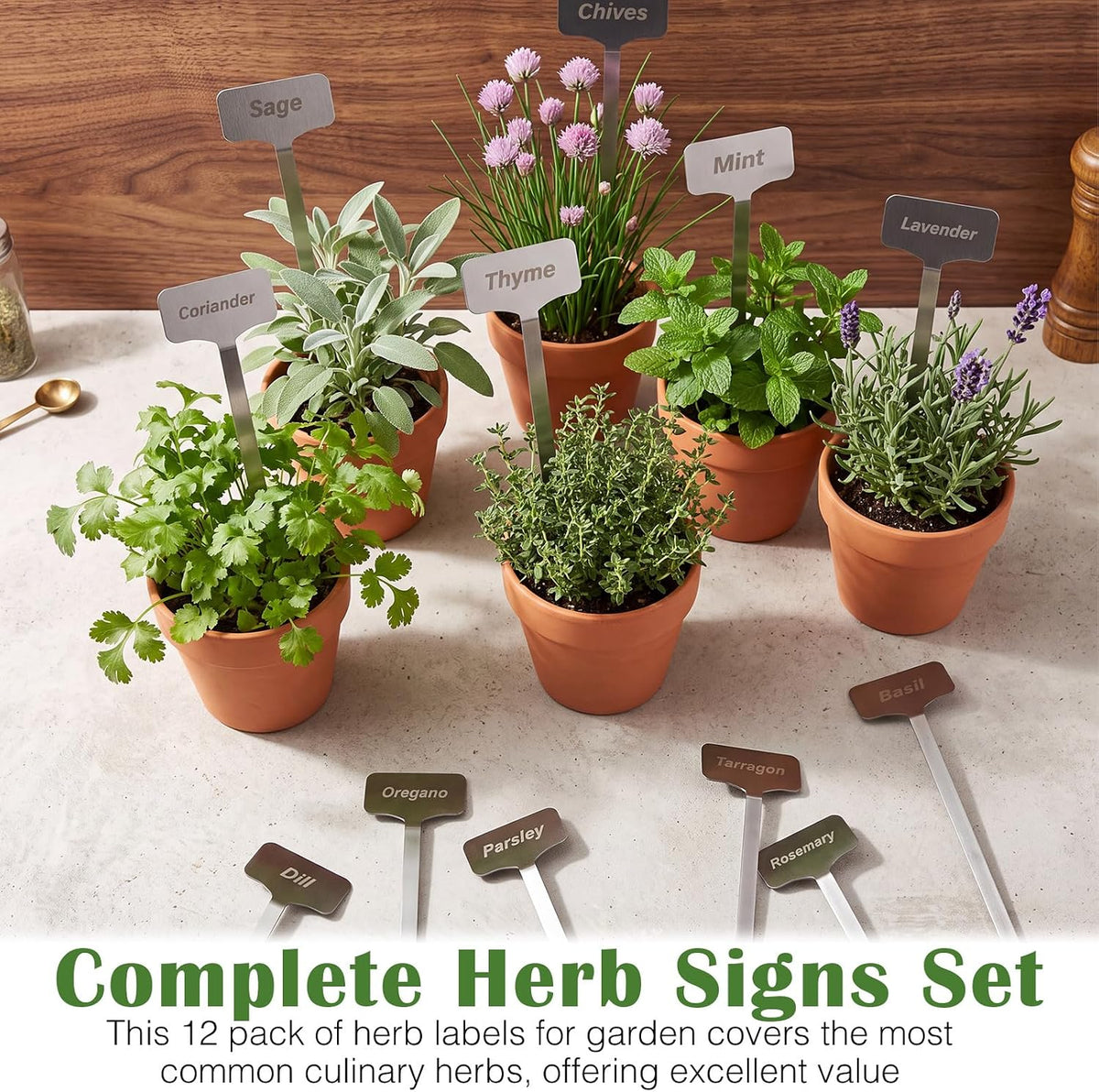 Hicarer 12 Pcs Metal Plant Labels, Stainless Steel 13" x 1.3" Plant Markers