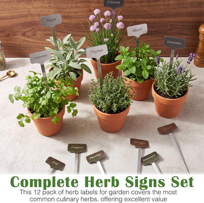 Hicarer 12 Pcs Metal Plant Labels, Stainless Steel 13" x 1.3" Plant Markers