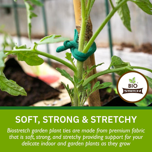Bio-Stretch Soft Garden Twine & Plant Ties for Outdoor Plants, 2 Ball Green