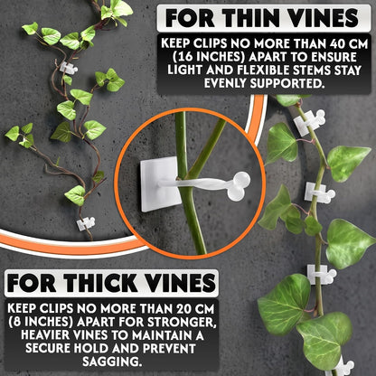100 Pcs Plant Clips for Climbing Plants, Vines, Pothos and Ivy (White)