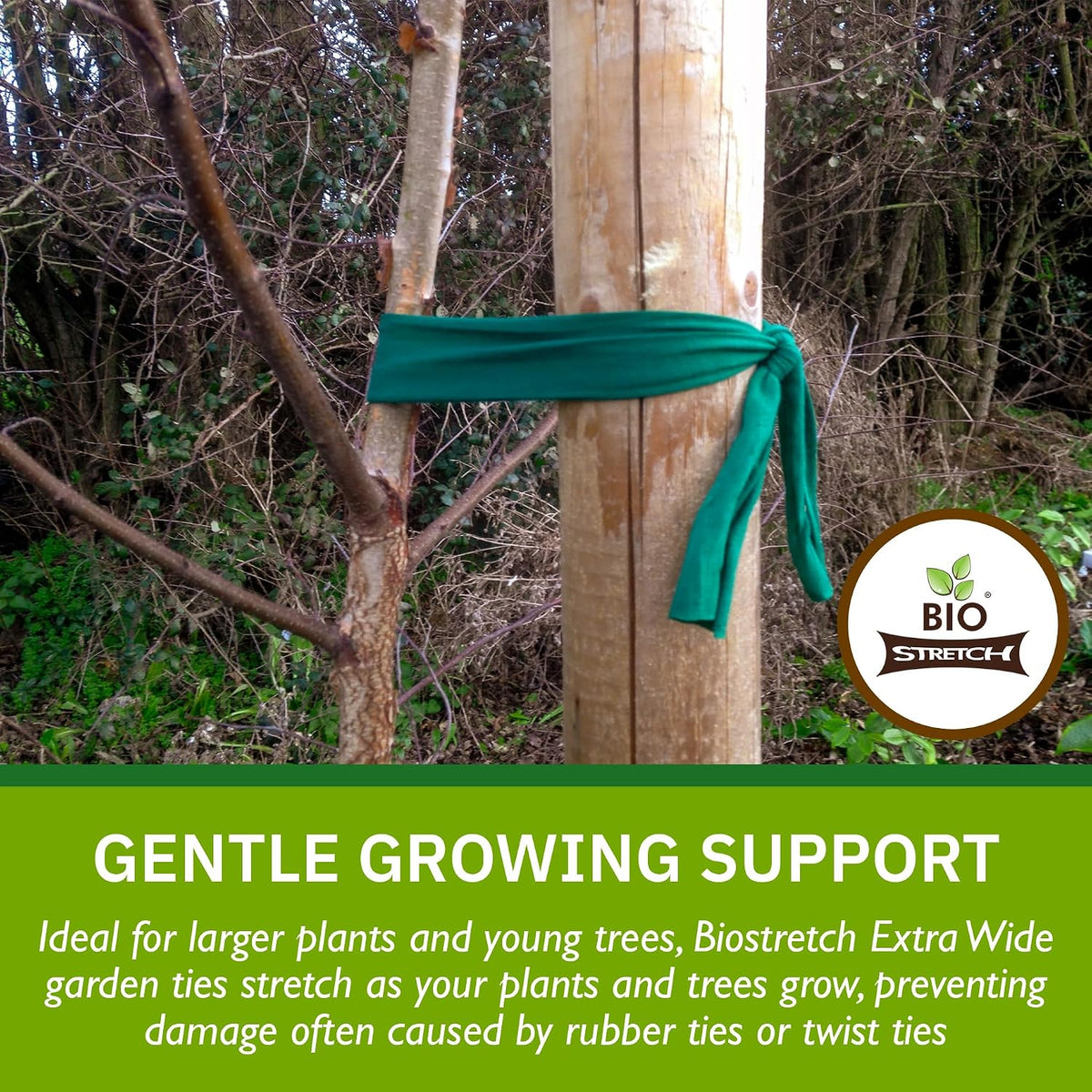 Bio-Stretch Soft Tree Ties & Garden Tape for Young Trees, 8M Green