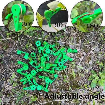 Branch bender 100pcs Plant Branches Bender Training Clips Garden Stem Trainer Clips 270 Degree Adjustable Planter Holder For Low Stress Training Tool for Plant Bonsai Garden Home(Green)