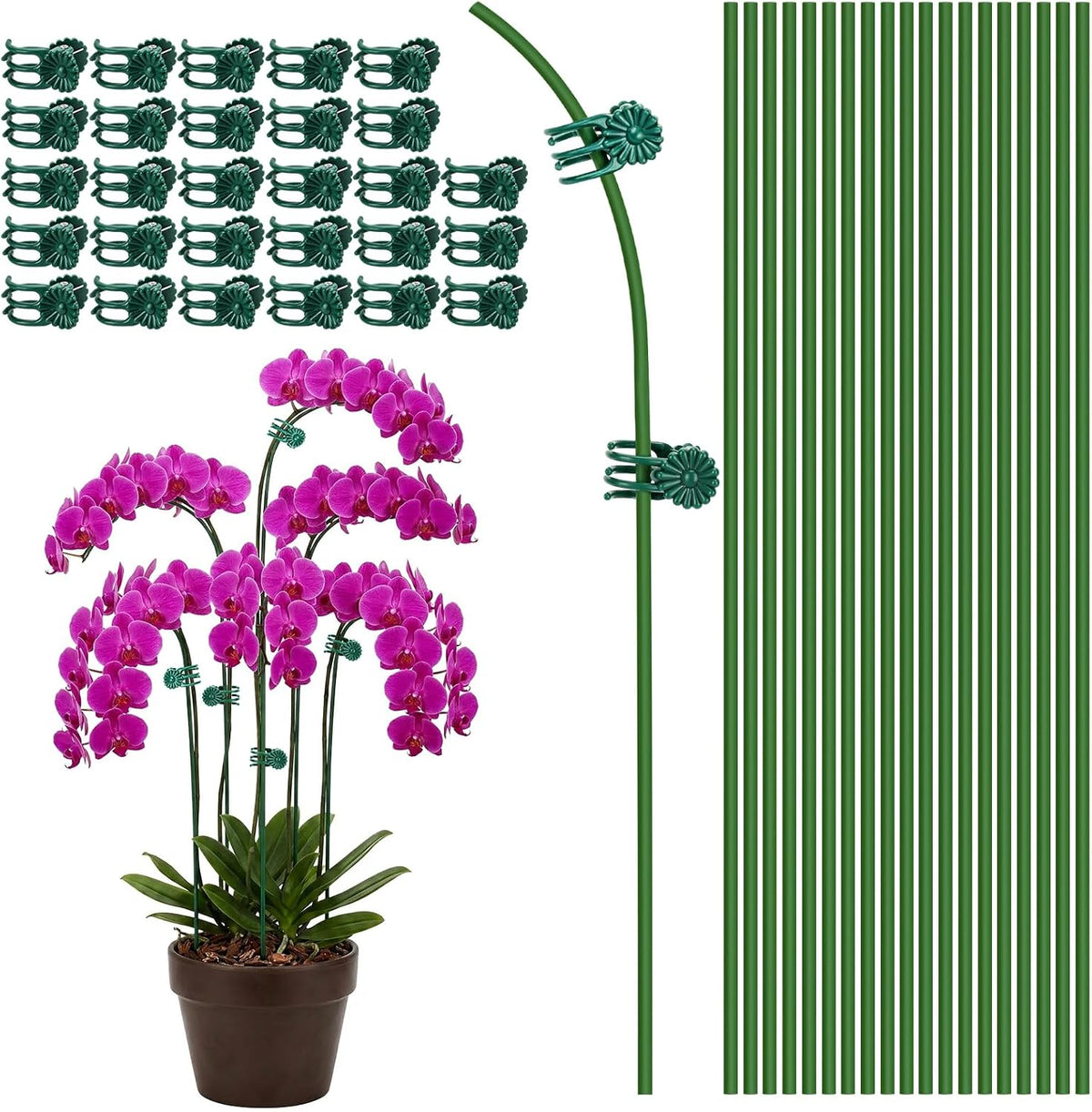 16 Inches Orchid Stakes and Clips, Pack of 20 Stakes, 30 Clips
