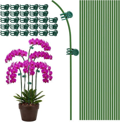 16 Inches Orchid Stakes and Clips, Pack of 20 Stakes, 30 Clips