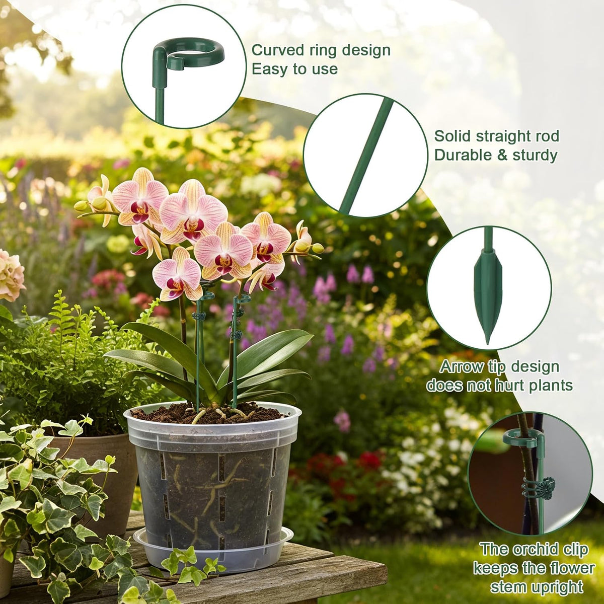 30 Sets Small Plant Stakes for Indoor Plants, 3 Size 6.7/10.6/14.6 Inches