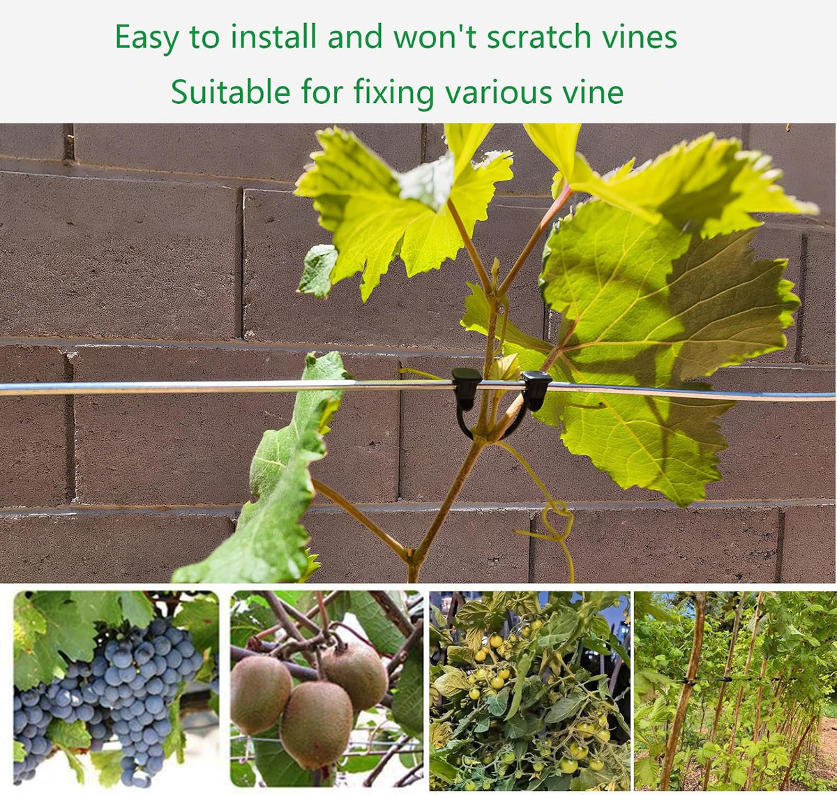 Plastic Vine Clip Garden Plant Support Clip Plant Tomato Grape Raspberry Kiwi Vine Clip Suitable for 9#-12# lines
