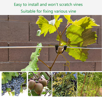 Plastic Vine Clip Garden Plant Support Clip Plant Tomato Grape Raspberry Kiwi Vine Clip Suitable for 9#-12# lines